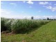 Swan Bay NSW 2471
