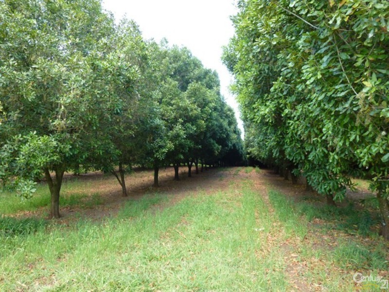 168 Henson Road, Wyrallah NSW 2480