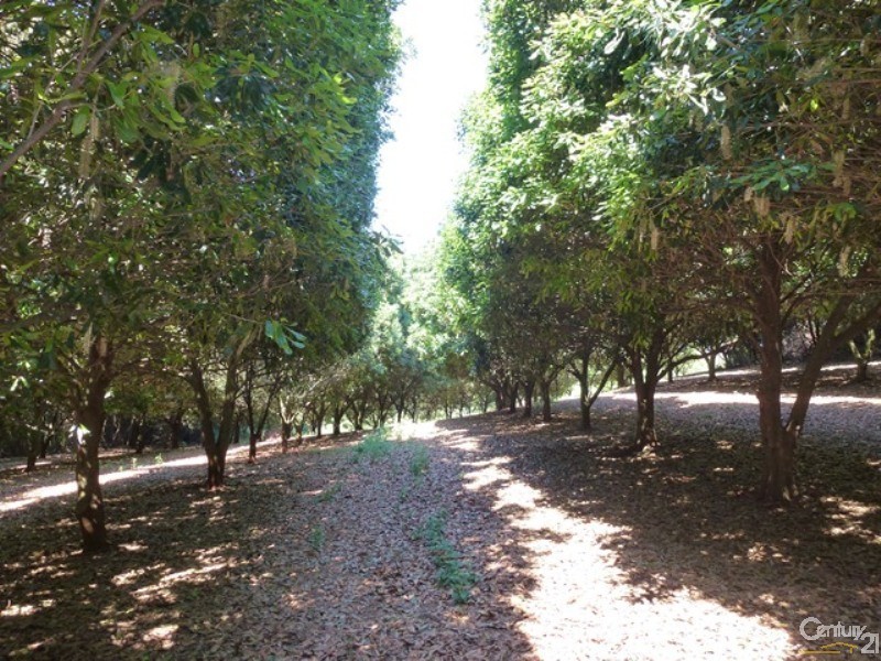 168 Henson Road, Wyrallah NSW 2480