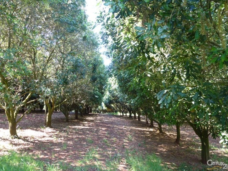 168 Henson Road, Wyrallah NSW 2480