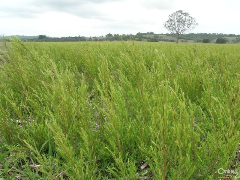 139 Leslie Lane, Tucki Tucki NSW 2480