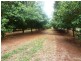 Dunoon NSW 2480