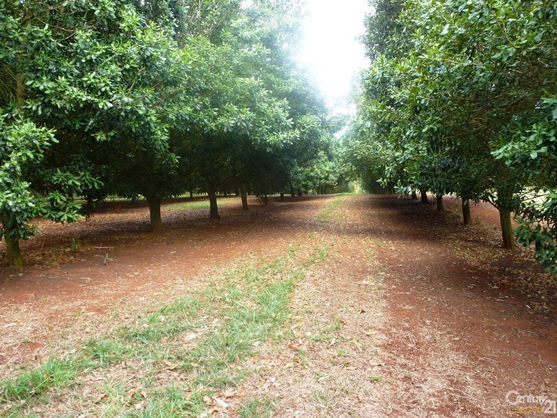 Dunoon NSW 2480