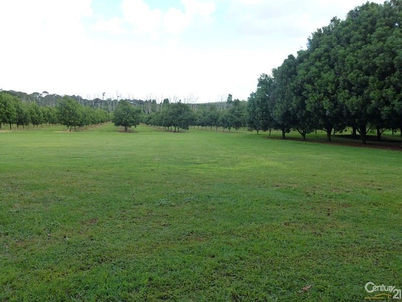 373 Ellis Road, Alstonville NSW 2477