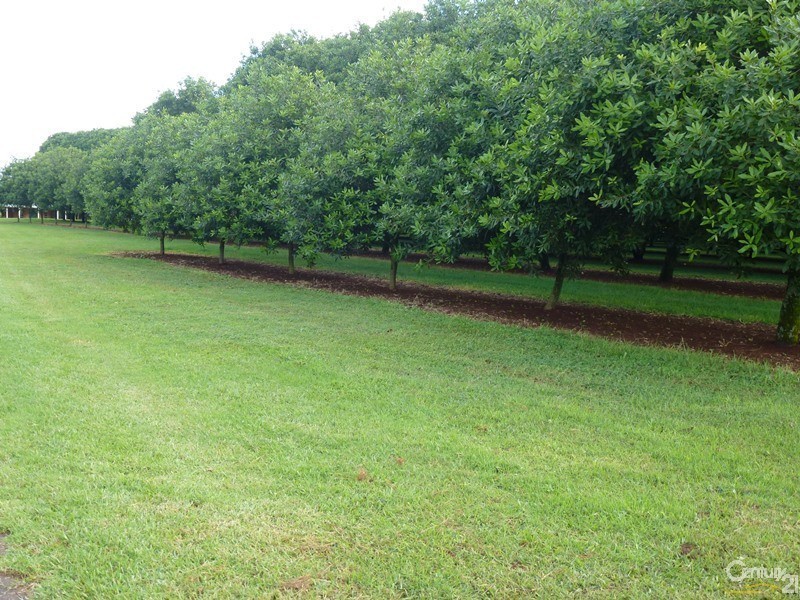 373 Ellis Road, Alstonville NSW 2477