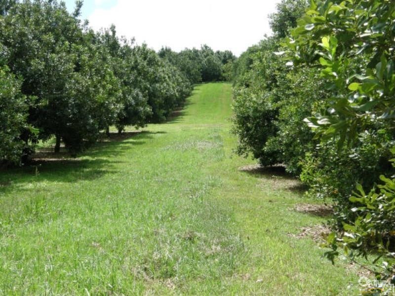 Alstonville NSW 2477