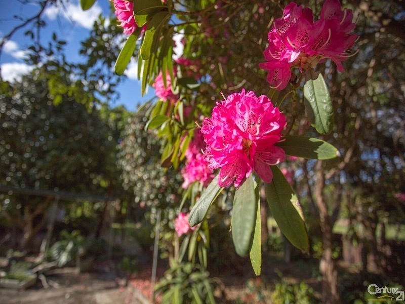 433 Wardell Road, Lynwood NSW 2477