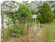Lynwood NSW 2477