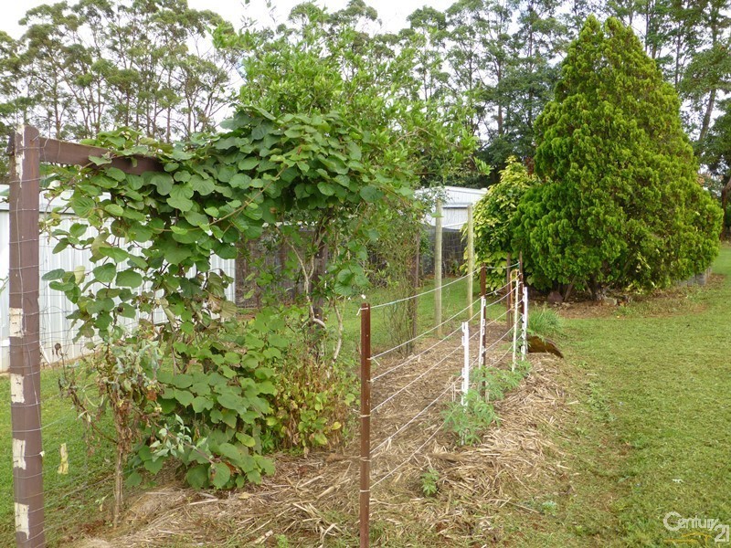 Lynwood NSW 2477
