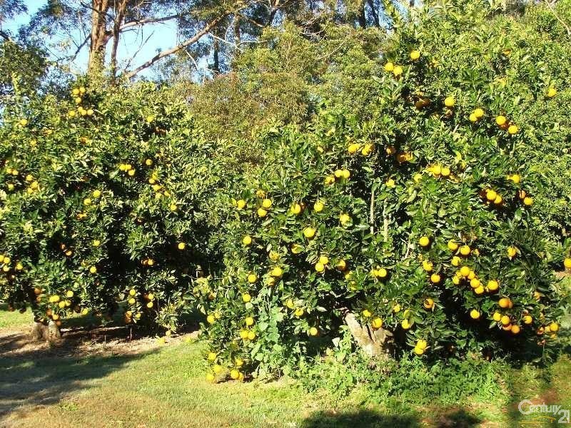 122 Alstonvale Road, Alstonvale NSW 2477