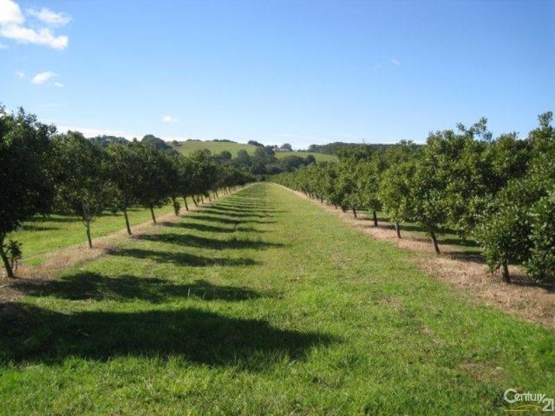 439 Teven Road, Alstonville NSW 2477