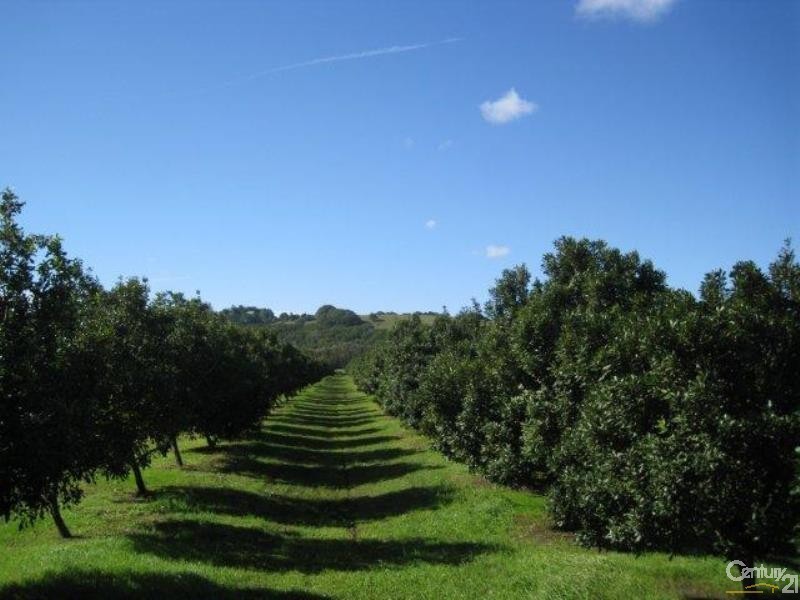 439 Teven Road, Alstonville NSW 2477