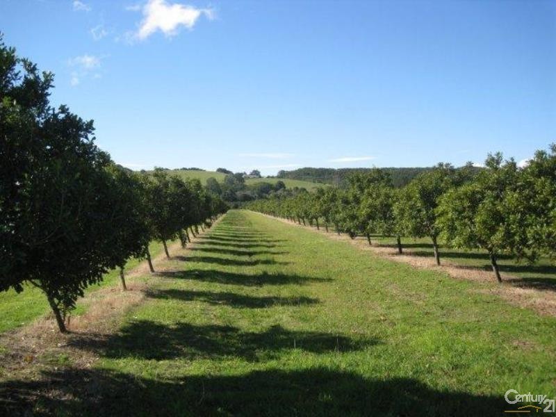 439 Teven Road, Alstonville NSW 2477