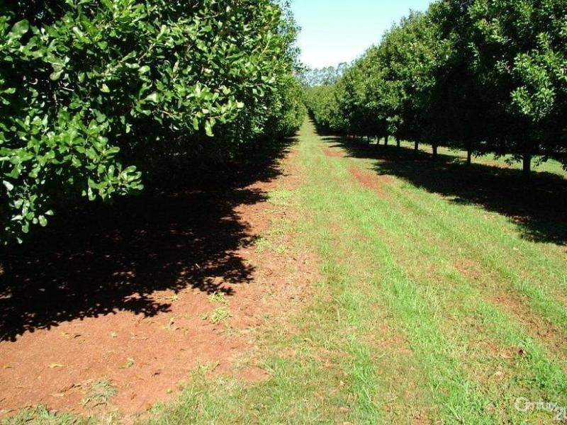 402 Cowlong Road, Mcleans Ridges NSW 2480