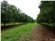 Dunoon NSW 2480