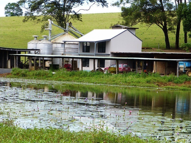 Dunoon NSW 2480
