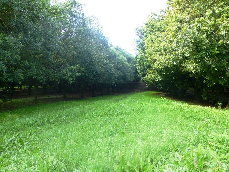 86 Eureka Road, Clunes NSW 2480