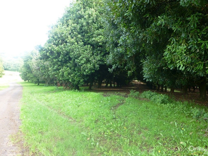 86 Eureka Road, Clunes NSW 2480