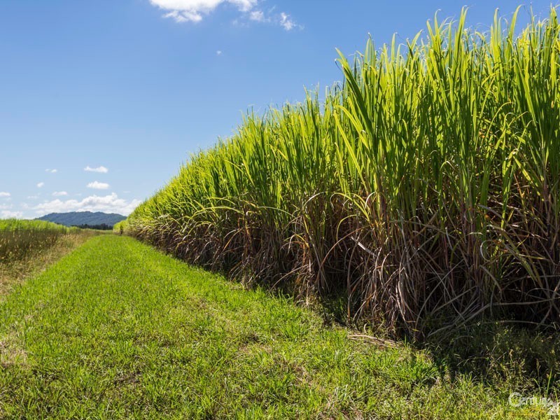 755 Kilgin Road, Kilgin NSW 2472