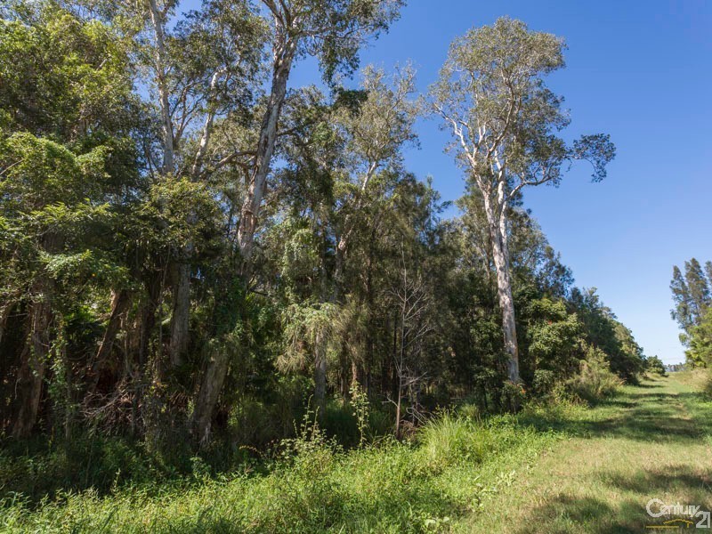 755 Kilgin Road, Kilgin NSW 2472