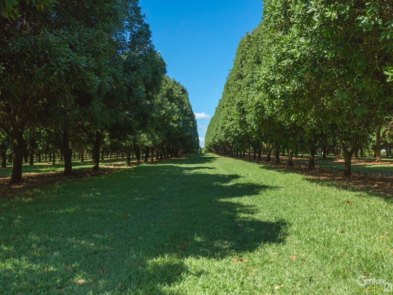 Alstonville NSW 2477