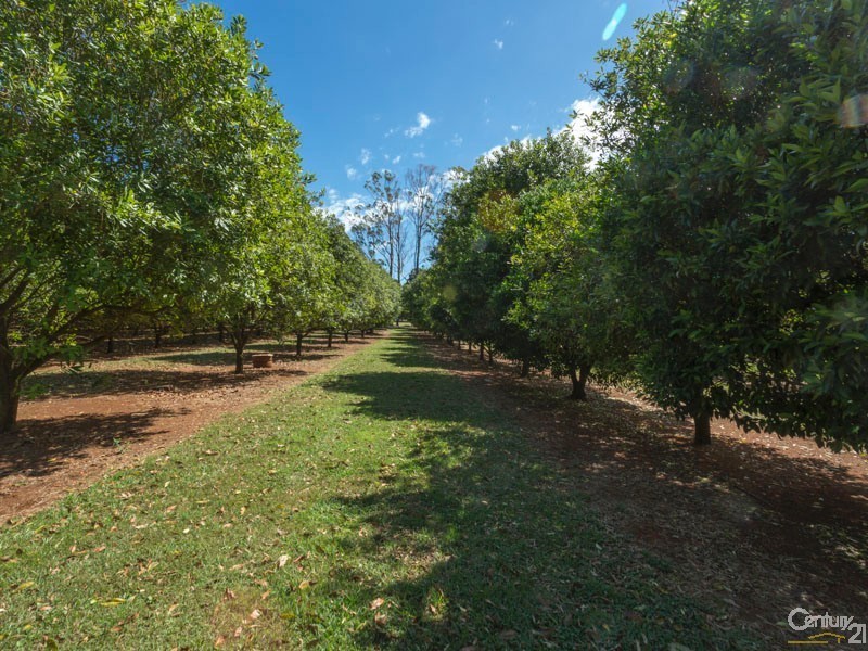 83 Rous Road, Alstonville NSW 2477