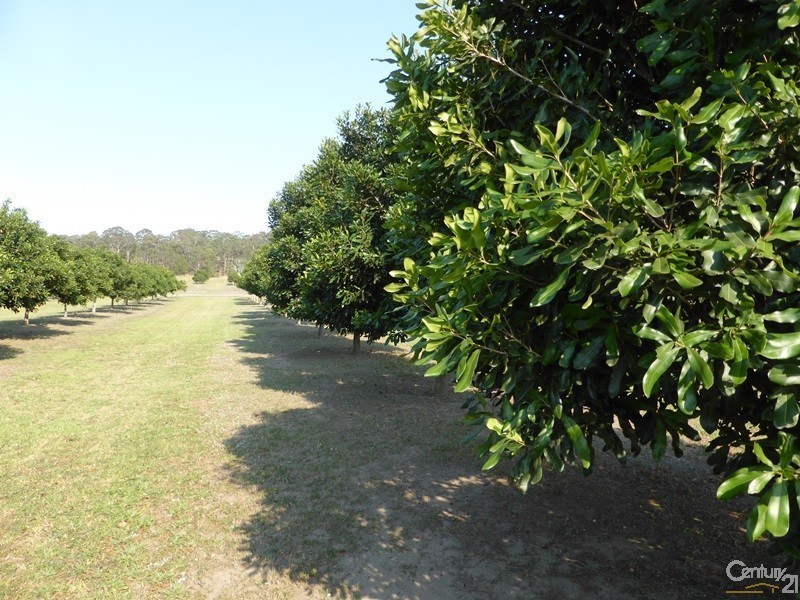 206 South Bank Road, Palmers Channel NSW 2463