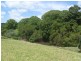 1099 Keerrong Road, Keerrong NSW 2480