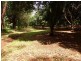 161 Fletcher Road, Dunoon NSW 2480