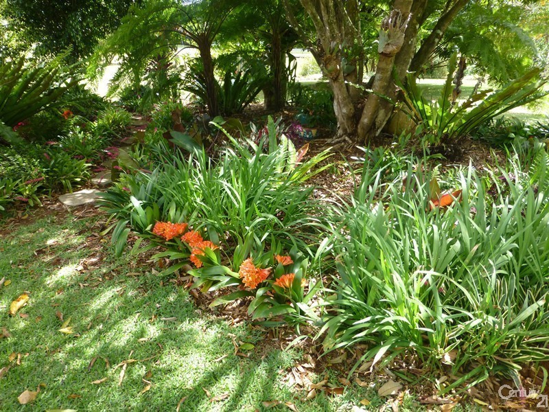 357 Rous Road, Alstonville NSW 2477