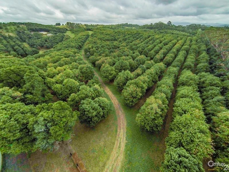 74 Rayward Road, Dunoon NSW 2480