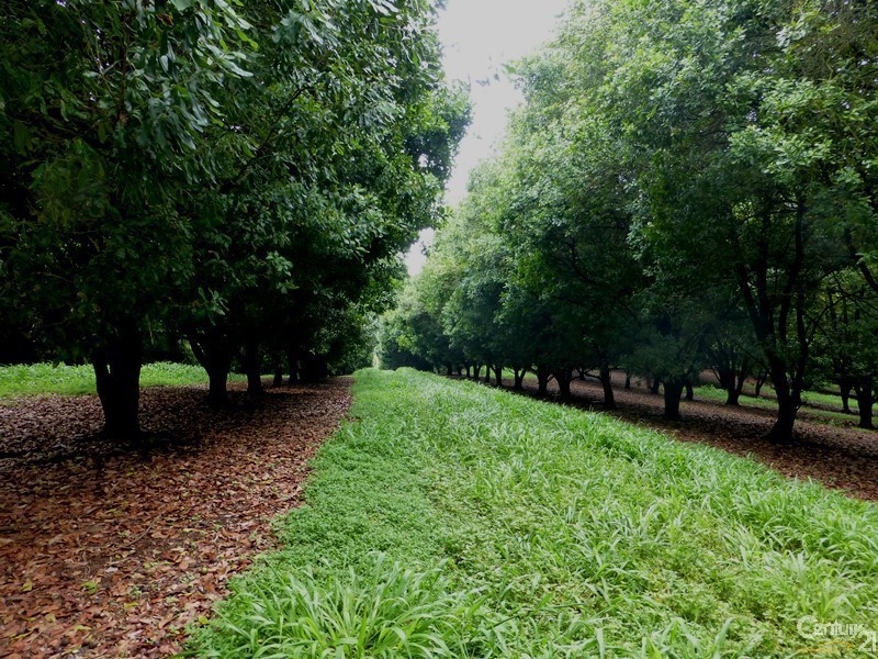 74 Rayward Road, Dunoon NSW 2480