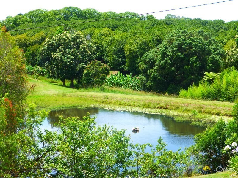 74 Rayward Road, Dunoon NSW 2480