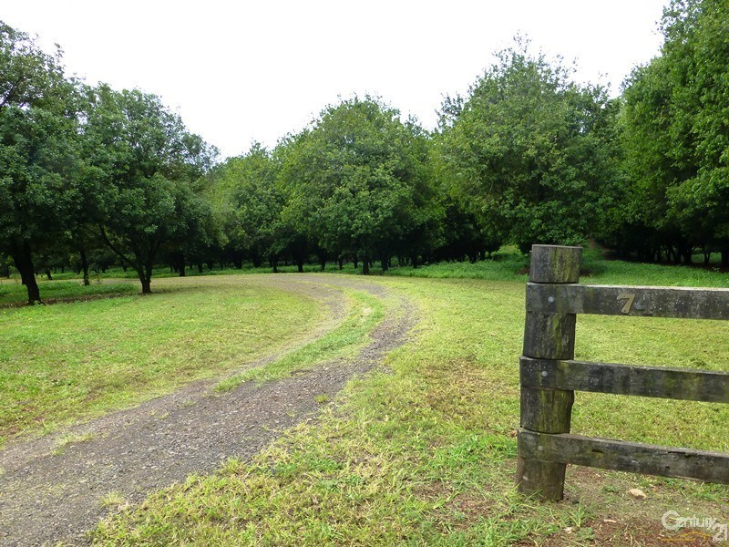 74 Rayward Road, Dunoon NSW 2480