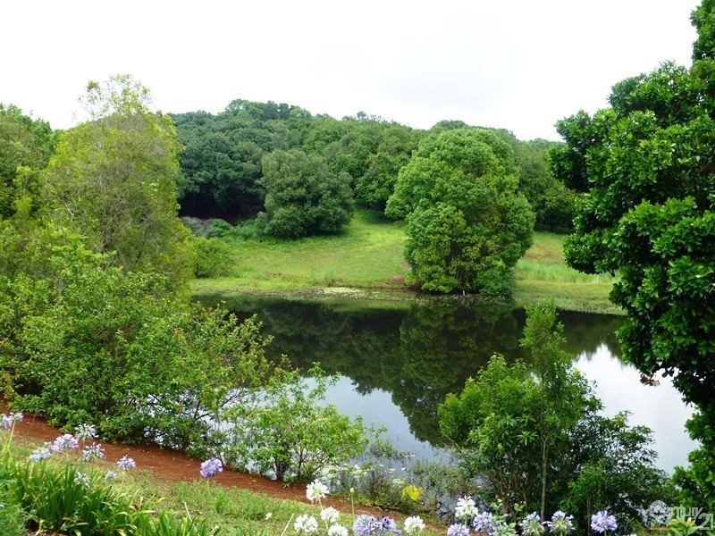 74 Rayward Road, Dunoon NSW 2480