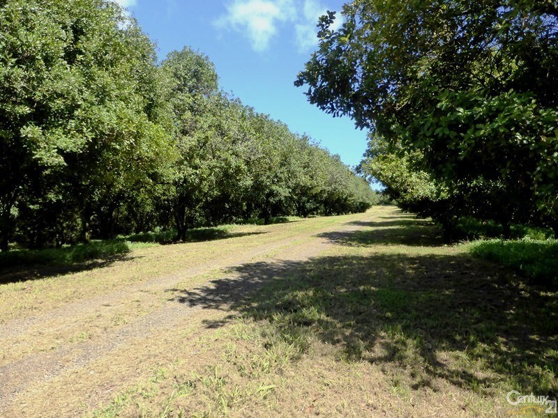 74 Rayward Road, Dunoon NSW 2480