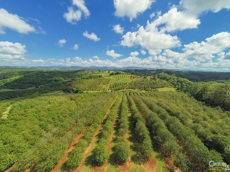 1173 Dunoon Road, Modanville NSW 2480