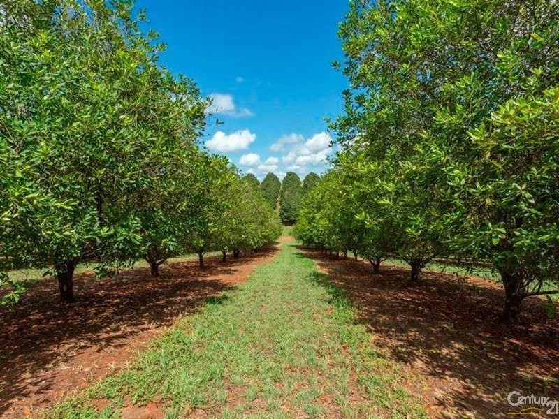 1173 Dunoon Road, Modanville NSW 2480