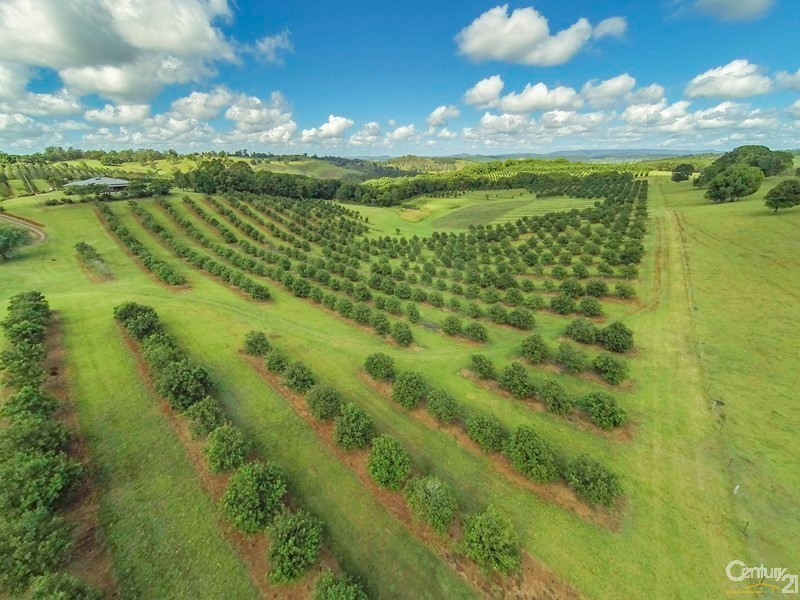 1173 Dunoon Road, Modanville NSW 2480