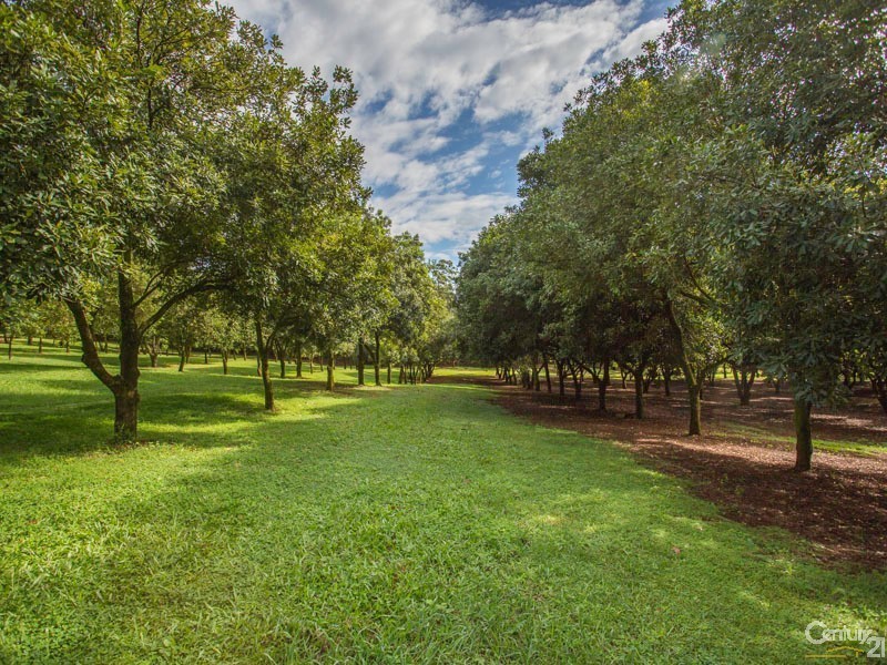 Alstonvale NSW 2477