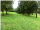 Alstonvale NSW 2477
