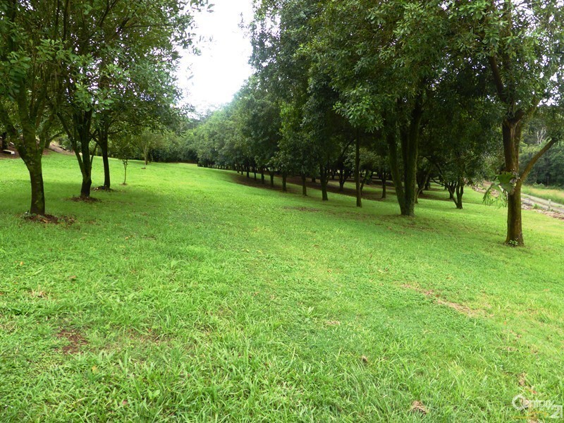 Alstonvale NSW 2477