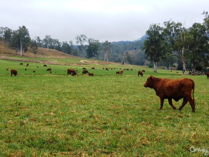 218 Ghinni Ghi Road, Kyogle NSW 2474