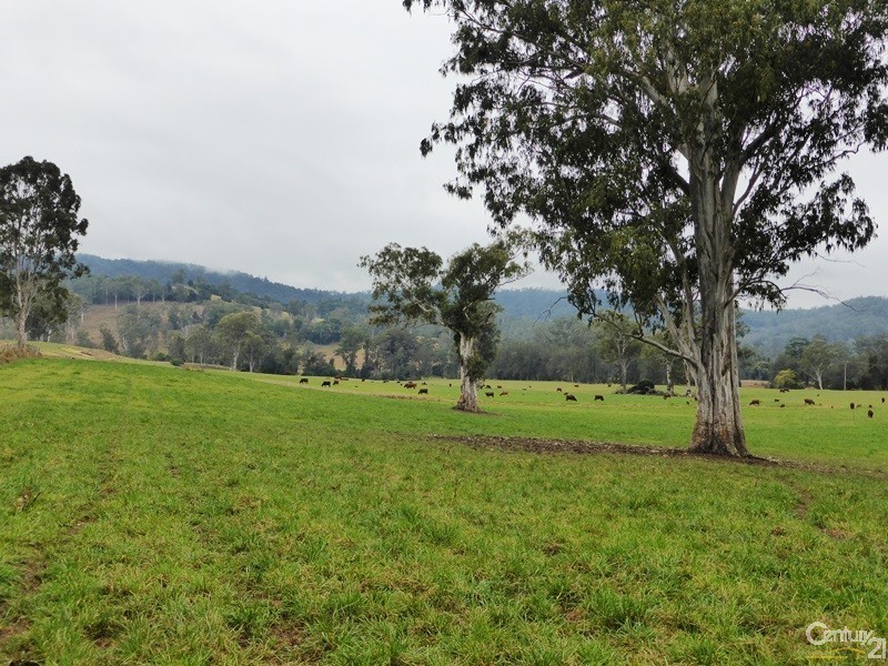 218 Ghinni Ghi Road, Kyogle NSW 2474