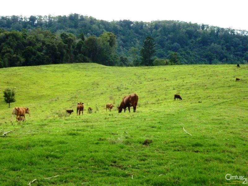 218 Ghinni Ghi Road, Kyogle NSW 2474