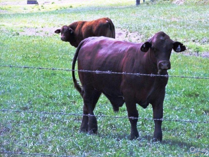 218 Ghinni Ghi Road, Kyogle NSW 2474