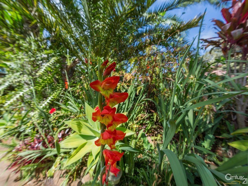 1 County Court, Wollongbar NSW 2477