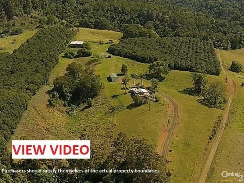 328 Upper Coopers Creek Road, Upper Coopers Creek NSW 2482