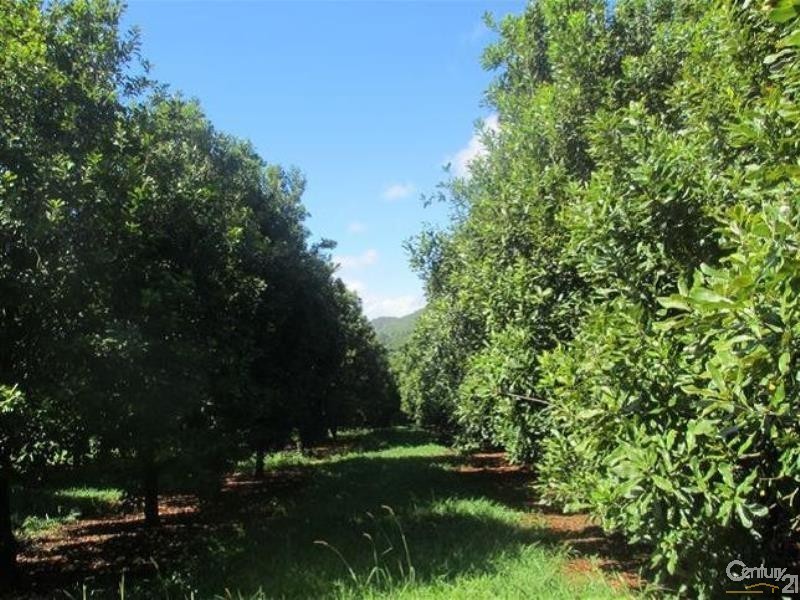 328 Upper Coopers Creek Road, Upper Coopers Creek NSW 2482