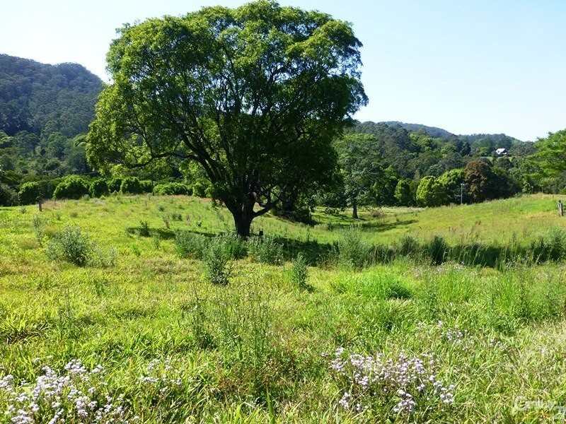 328 Upper Coopers Creek Road, Upper Coopers Creek NSW 2482